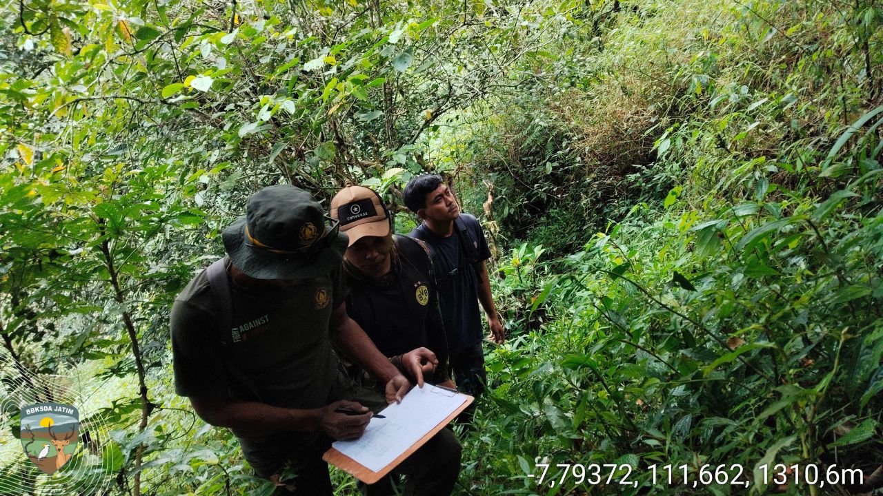 Smart Patrol Dibalik Kabut Tipis Cagar Alam Gunung Picis