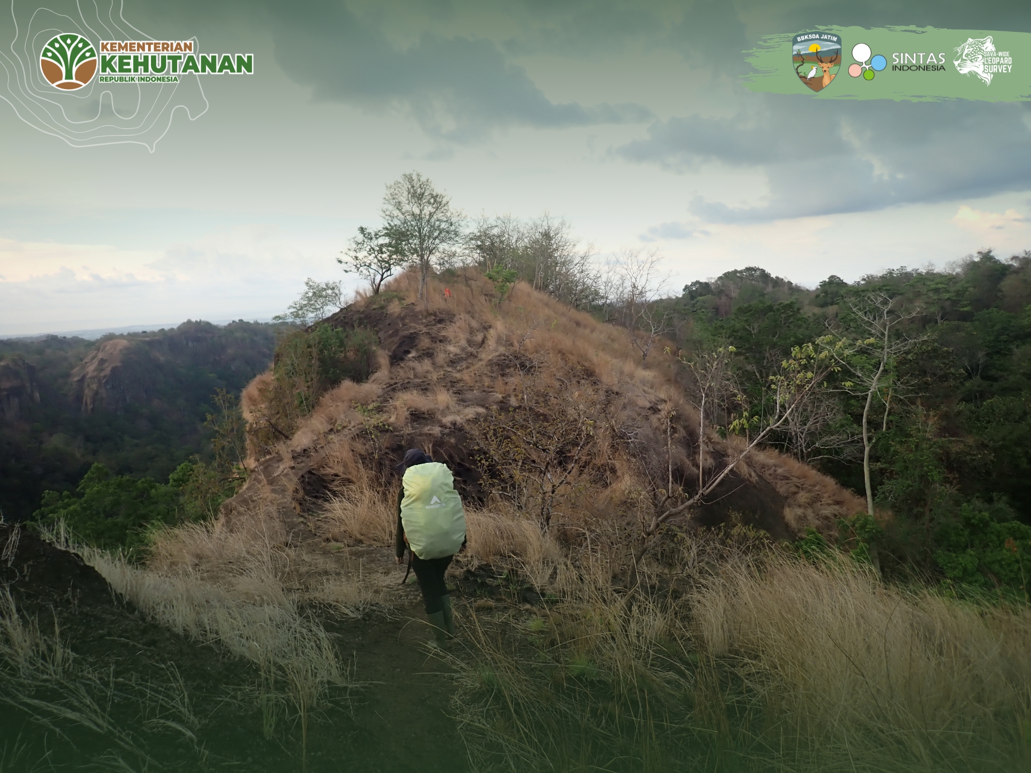 Pencarian Jejak Macan Tutul Jawa Di Ijen-Raung, 3 Kamera Trap Raib!