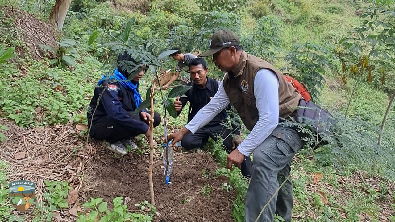 Menjaga Mata Air, Merawat Akar, Kolaborasi Konservasi di Lereng Totokan