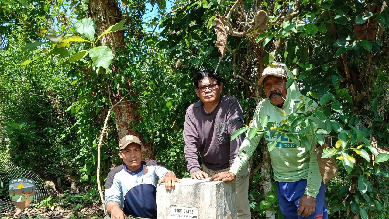 Cagar Alam Gua Nglirip, Simfoni Antara Karst, Flora, dan Fauna yang Bersembunyi