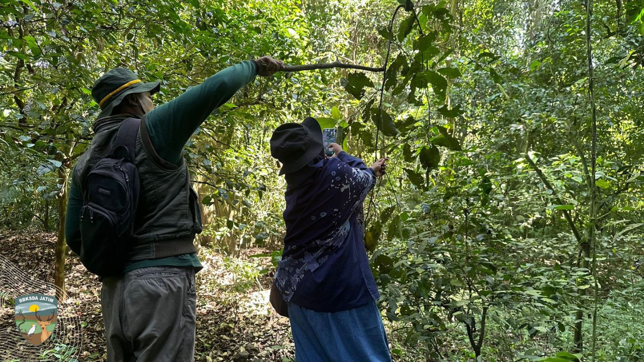 Mengetuk Pintu Desa, Diplomasi Madu Hutan Di Penyangga Manggis Gadungan