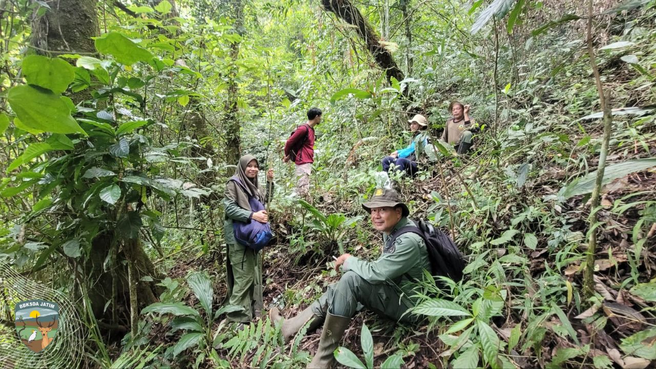 Tak Hanya dari Balik Meja,  Ini Aksi Nyata Polisi Kehutanan Menembus Kabut Gunung Picis