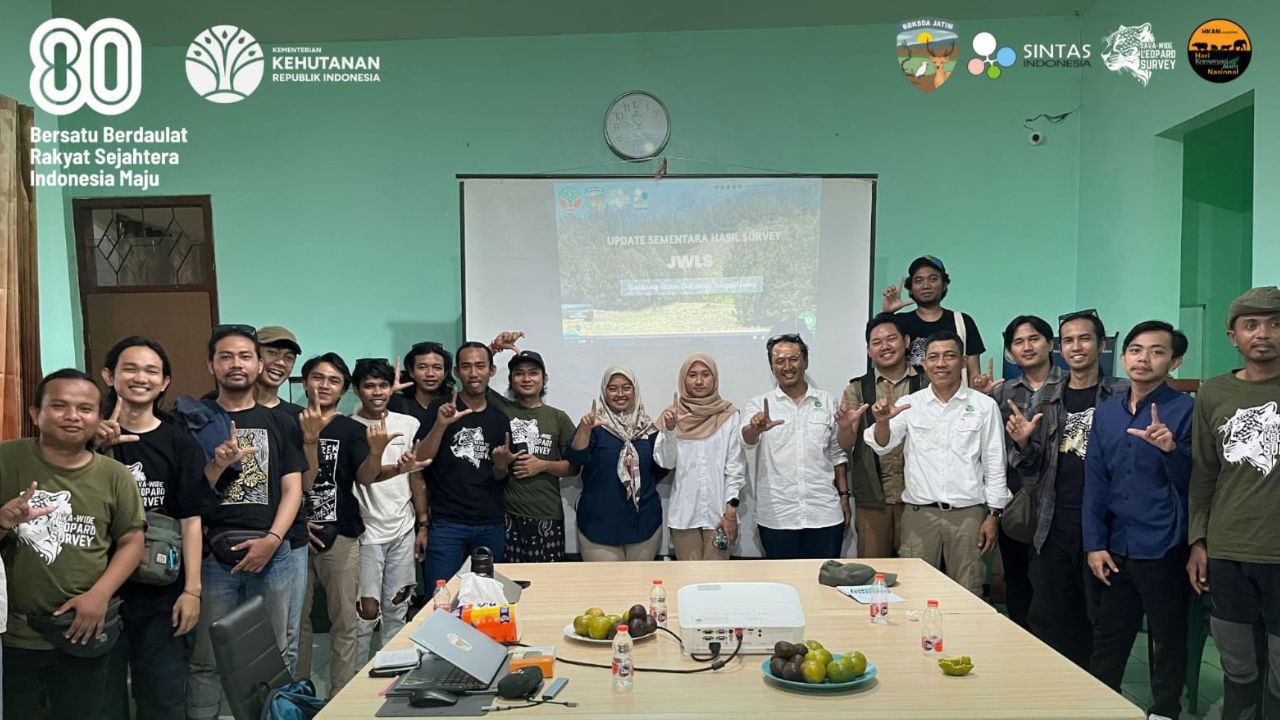 Mencari Auman yang Tak Muncul, Misteri Hutan Dataran Tinggi Yang