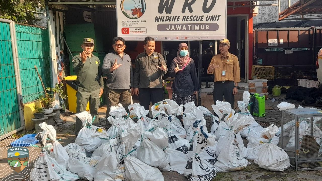 128 Ekor Ular Sanca dan Monyet Liar Dievakuasi dari Tuban dan Bojonegoro