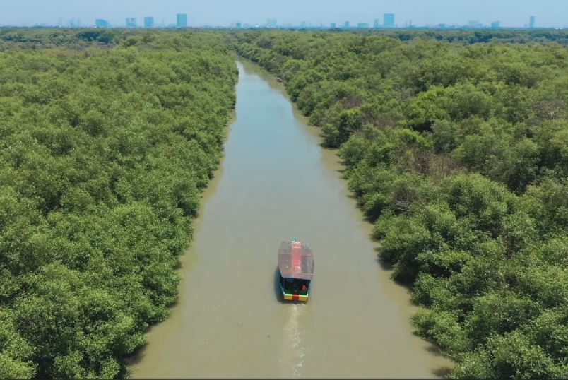 Kebun Raya Mangrove Surabaya Kurangi Emisi Karbon dan Mendukung Ketahanan Pangan Untuk Negeri