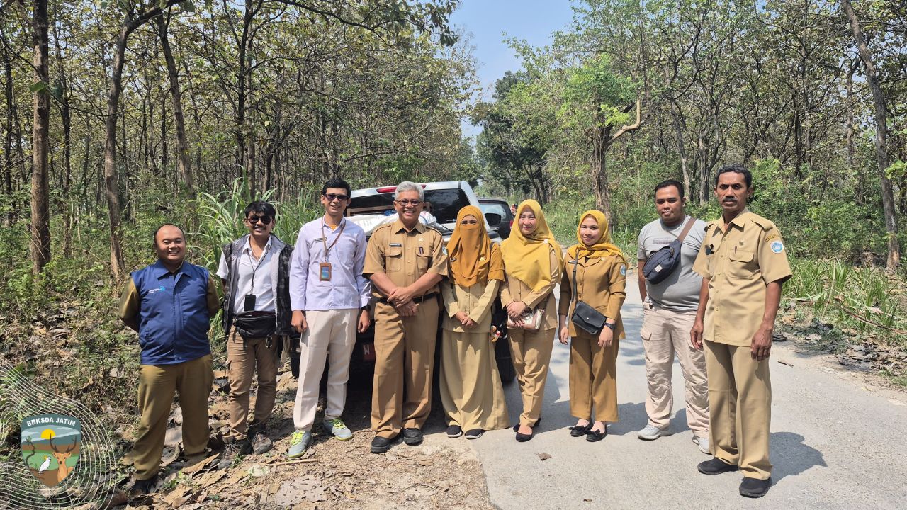 Jangan Lepasliarkan Satwa Sembarangan, Kalau Tidak mau seperti ini!