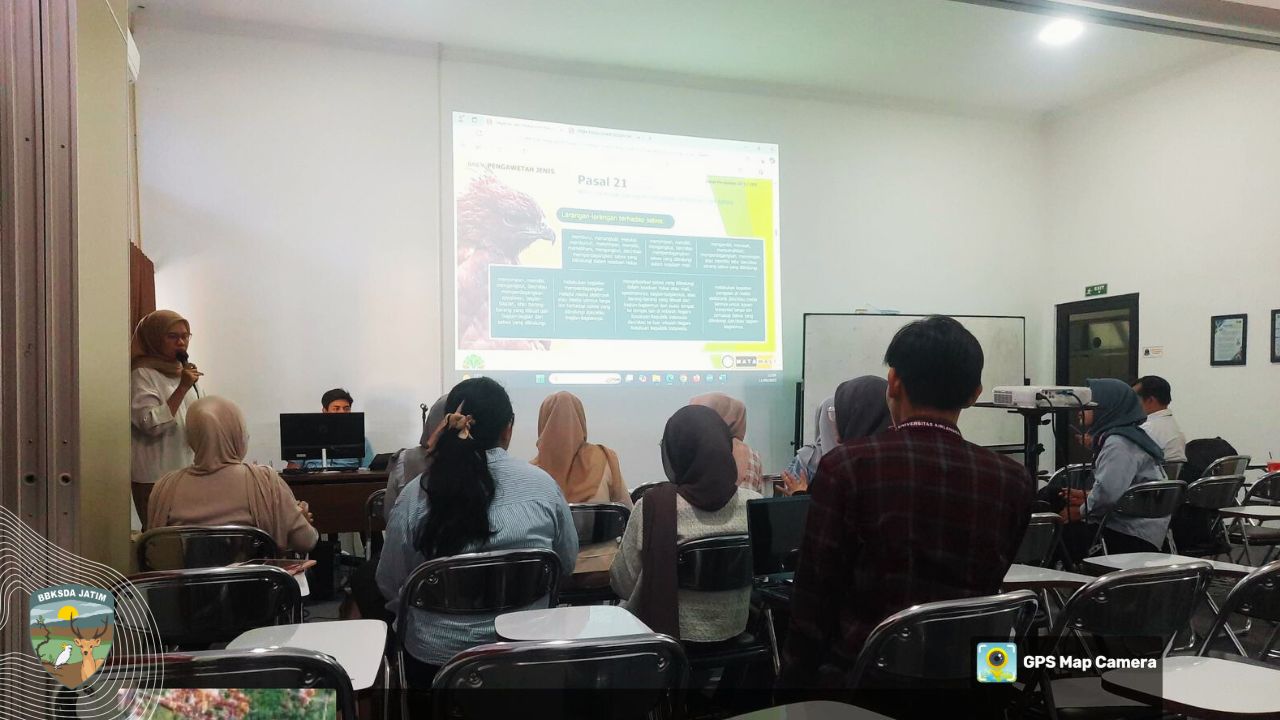 Menyiapkan Dokter Hewan Masa Depan Penjaga Satwa Indonesia