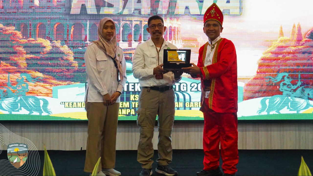 Kolaborasi BBKSDA Jatim dan PLN Menghadapi Ancaman Monyet Ekor Panjang