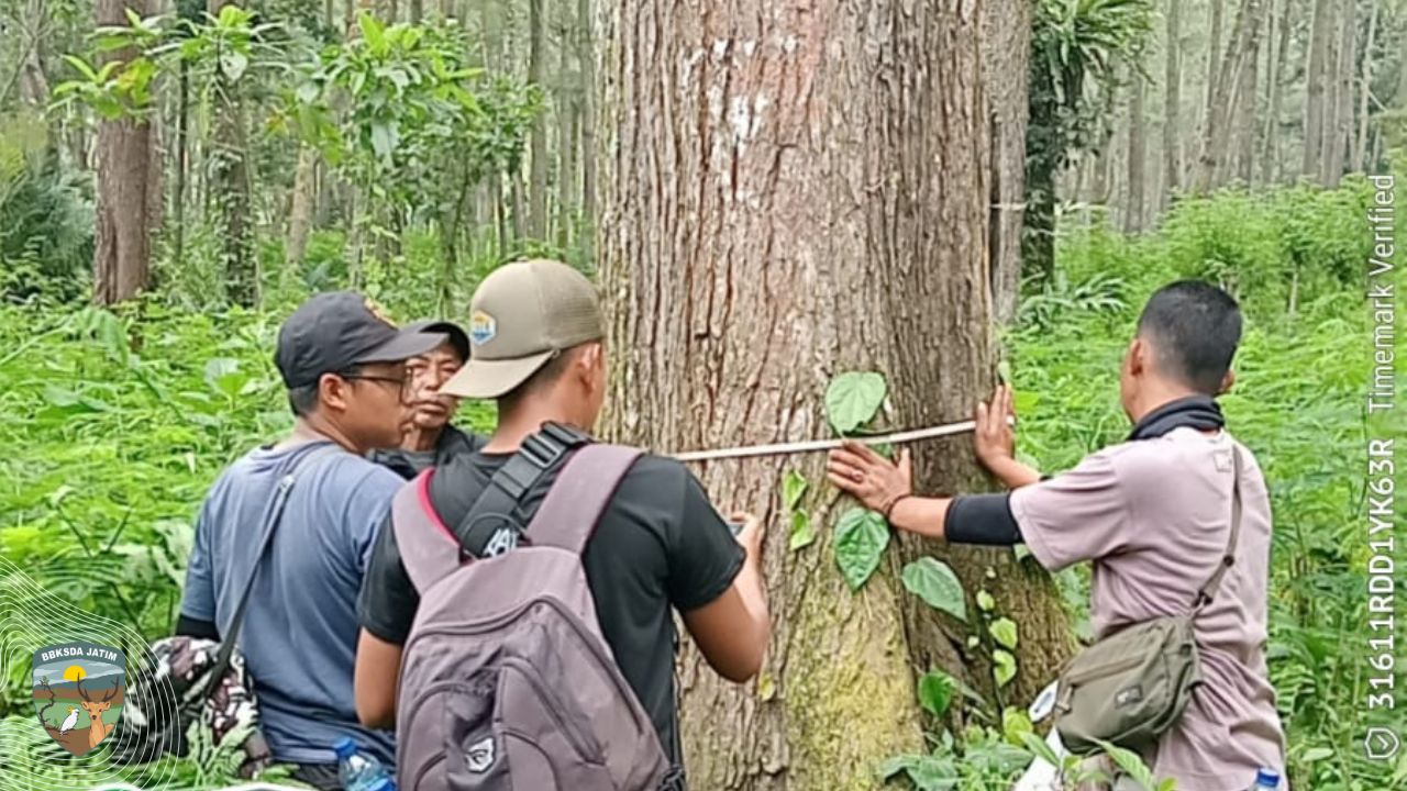 Menjaga Garis Janggangan, Smart Patrol di Batas Cagar Alam