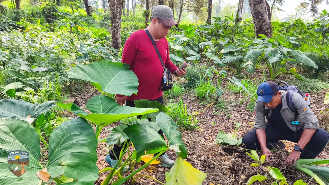 Smart Patrol Bongkar Ancaman di Curah Manis Sempolan