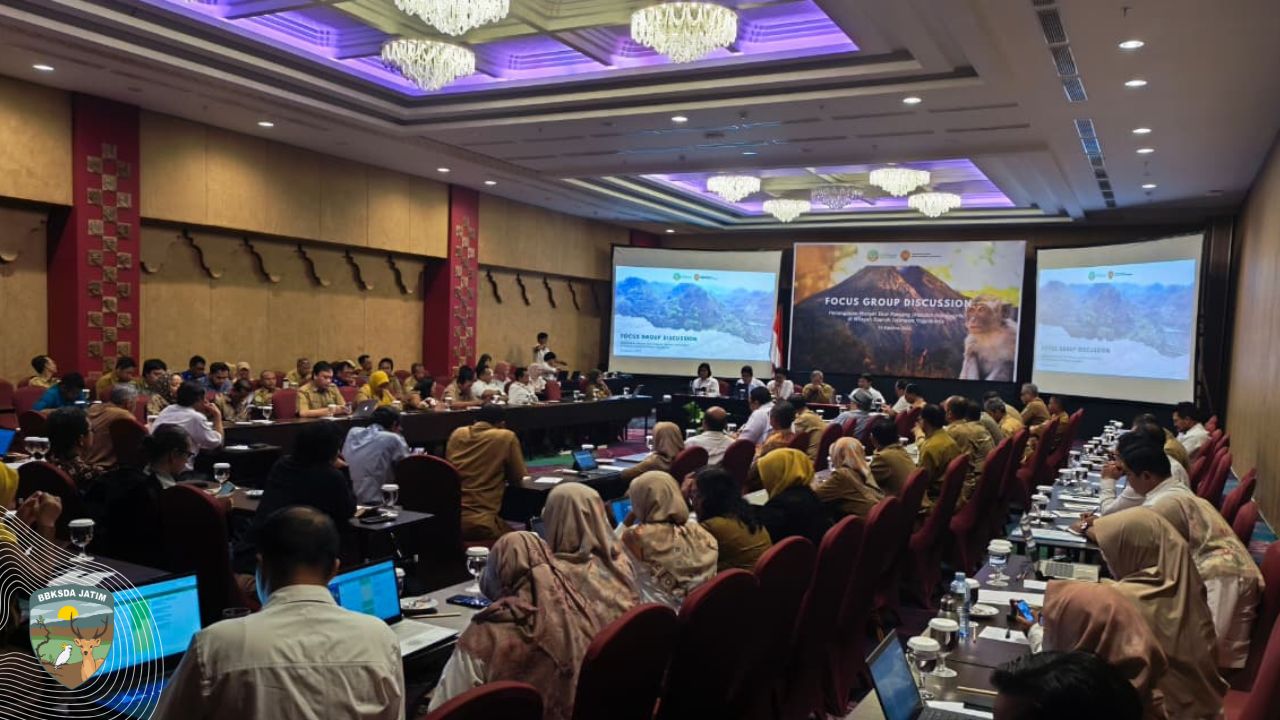 Hidup Berdamai dengan Monyet, Jalan Panjang Mengurai Interaksi Negatif Manusia Satwa di Yogyakarta