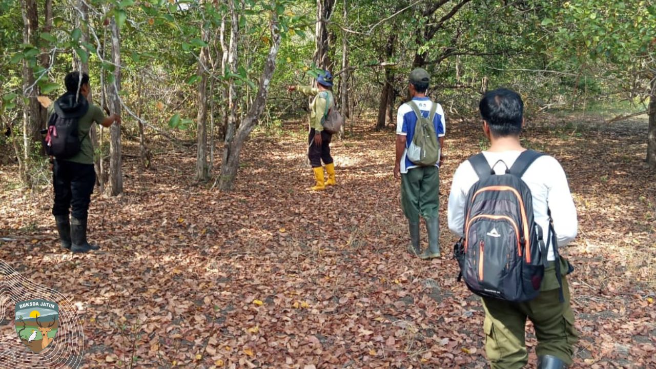 Patroli Pencegahan Kebakaran Hutan di Pulau Saobi, Ini Yang Tim Lakukan