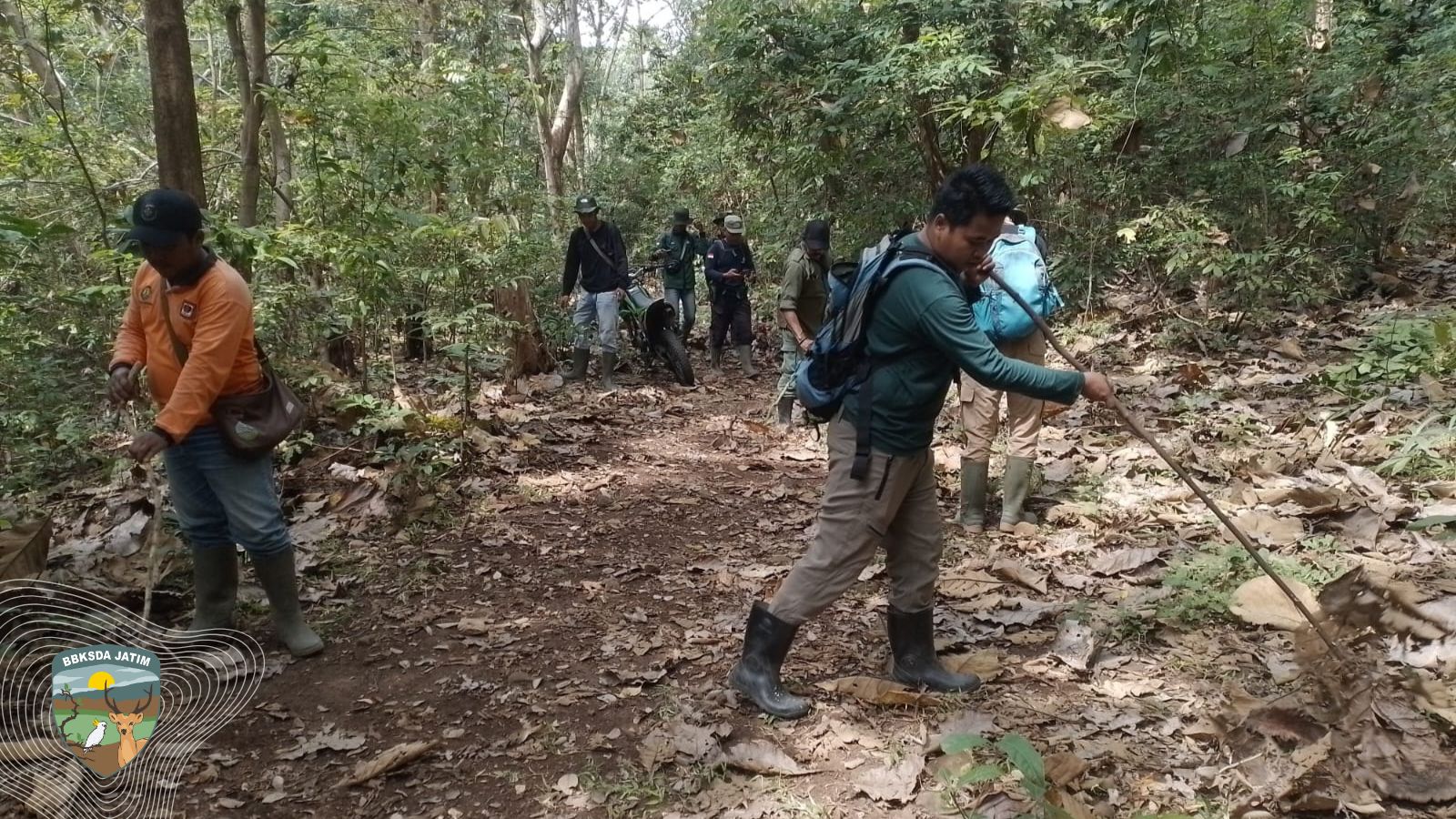 Menjaga Hijau Pulau Bawean dari Ancaman Api