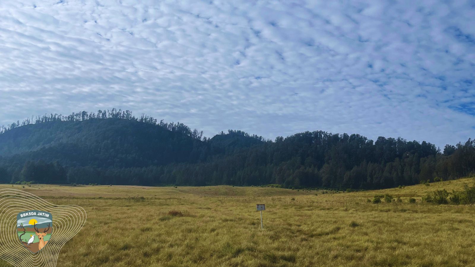 Menyapa Sang Penjaga Rimba Suaka Margasatwa Dataran Tinggi Yang “Argopuro”