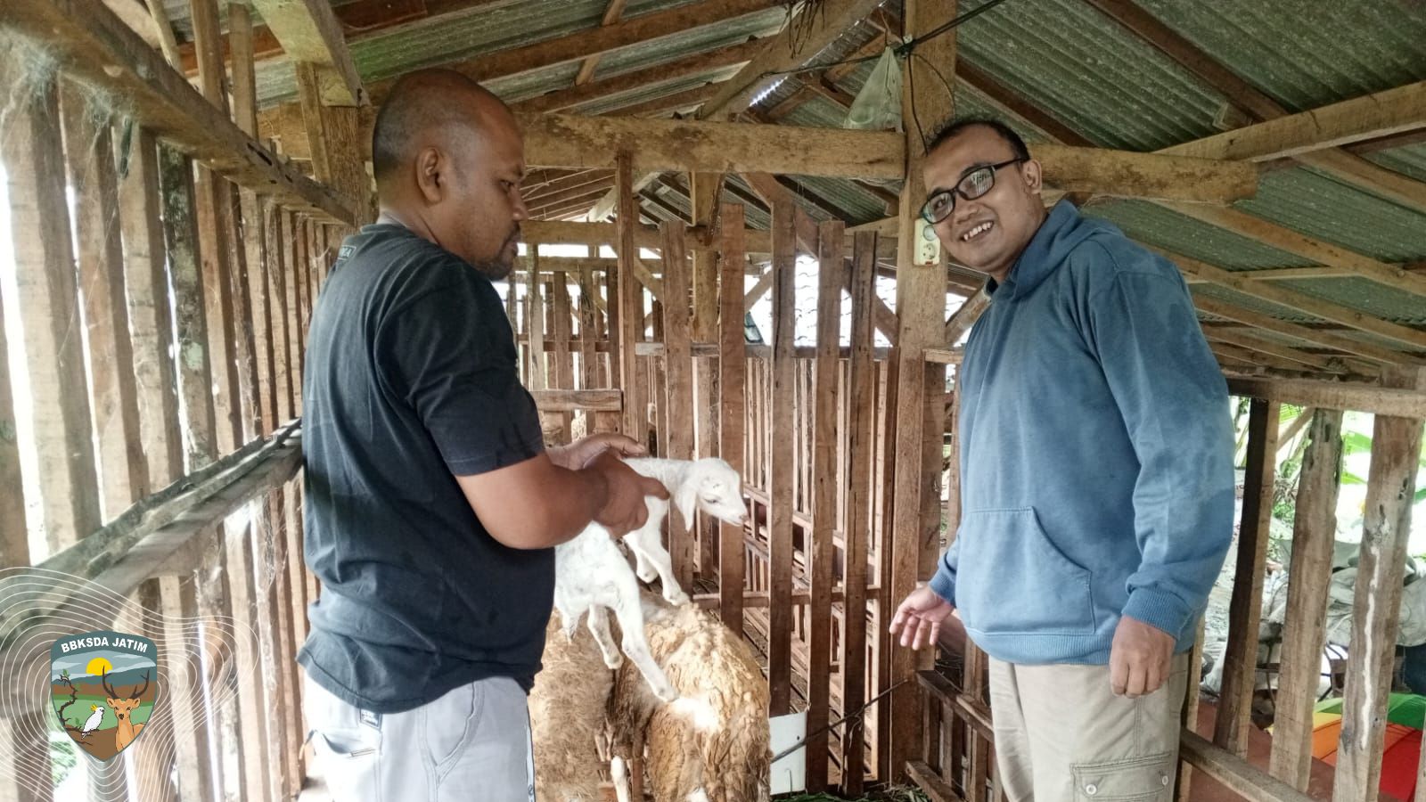 Kambing-Kambing yang Menjaga Hutan Janggangan