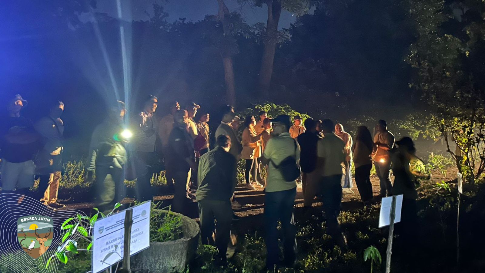 Ficus, Kunci Meredam Konflik Monyet dan Manusia