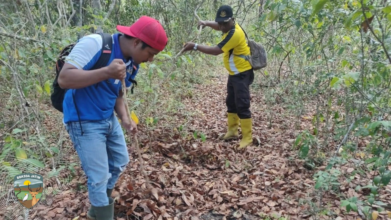 Puntung Rokok Bisa Membakar Saobi, Edukasi Warga Jadi Tameng Terakhir Hutan