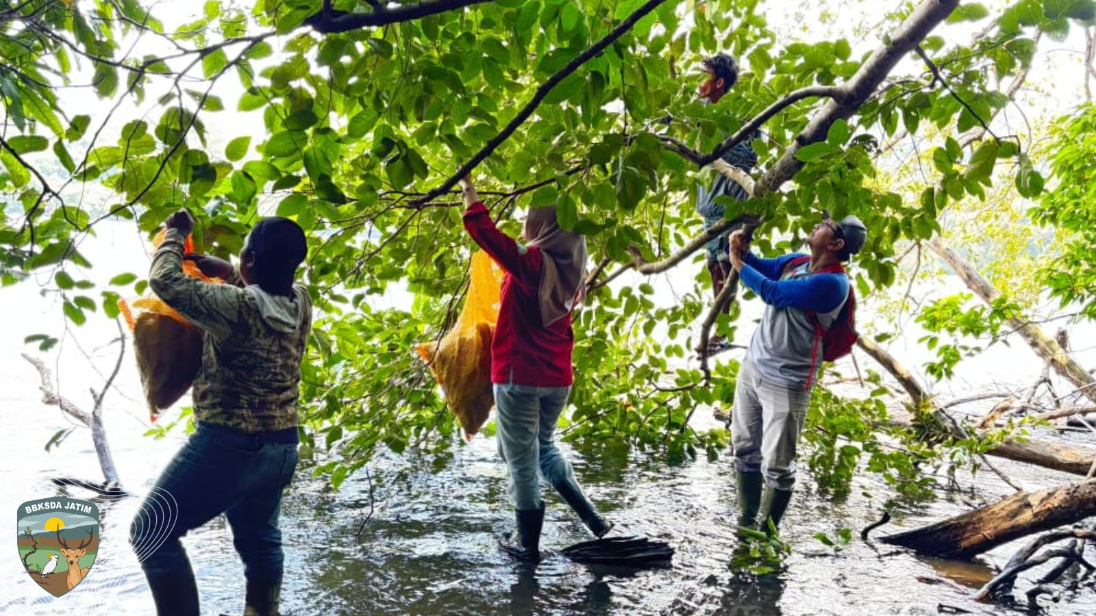 Di Balik Lelah Menyusuri Hutan Bawean, Shalmiah Aegesti Justru Menemukan ‘Bonus Manis’ Konservasi