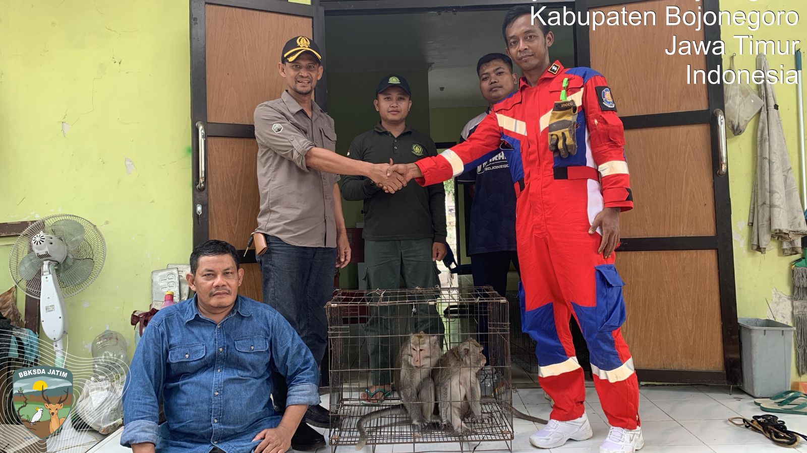 Dua Monyet Diserahkan ! Saatnya Belajar Bahwa Satwa Liar Bukan untuk Dipelihara