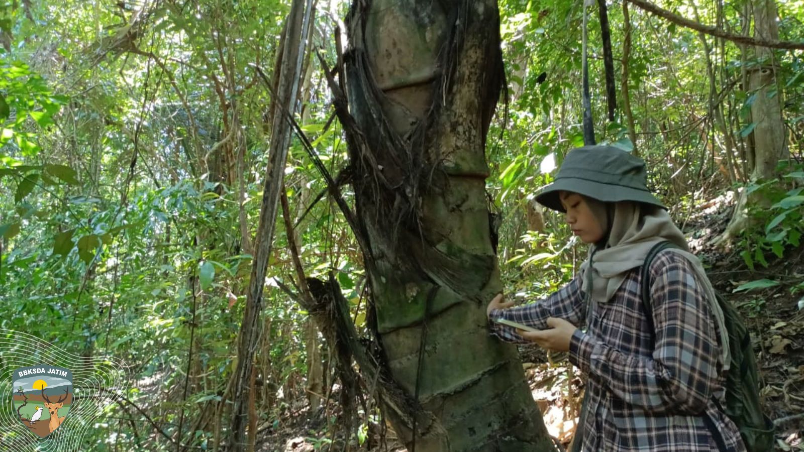 Lebih dari Magang, Tiara Nathania Belajar Makna Konservasi Sejati di Jantung Pulau Bawean