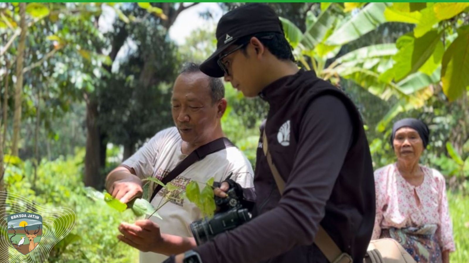 Ramuan Hidup Dari Pengetahuan Yang Bertahan Di Bawean
