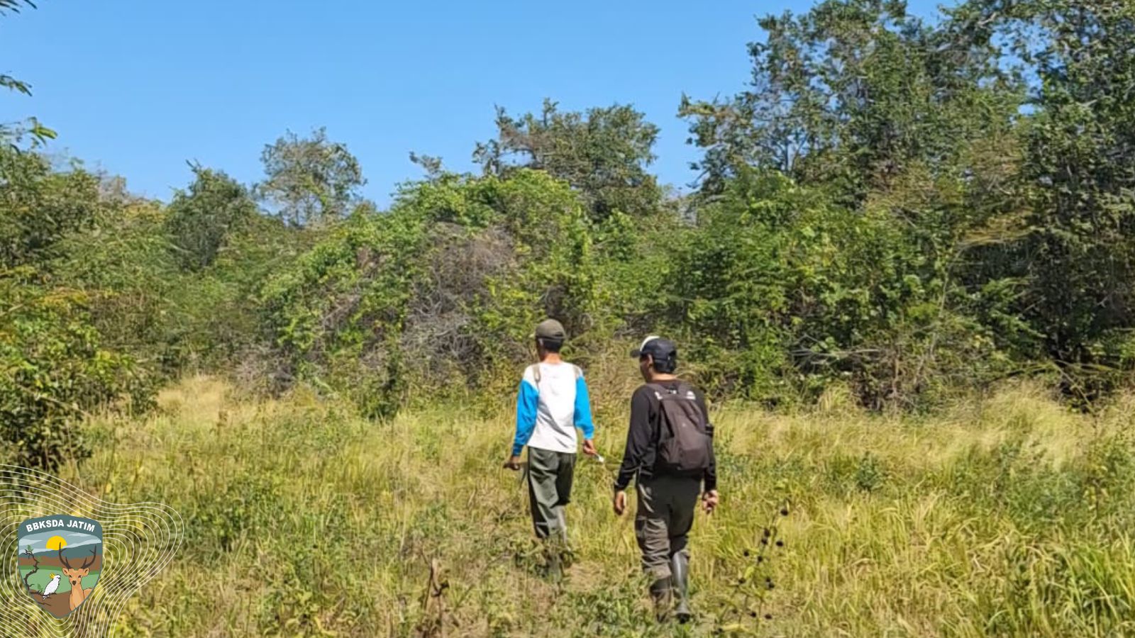 Patroli Saobi Temukan 9 Sarang Gosong !