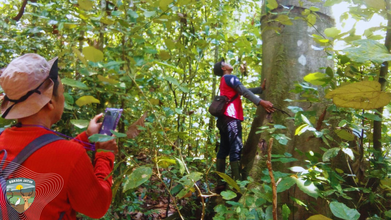 Denyut Konservasi di Pulau Sempu yang Menyimpan Kehidupan