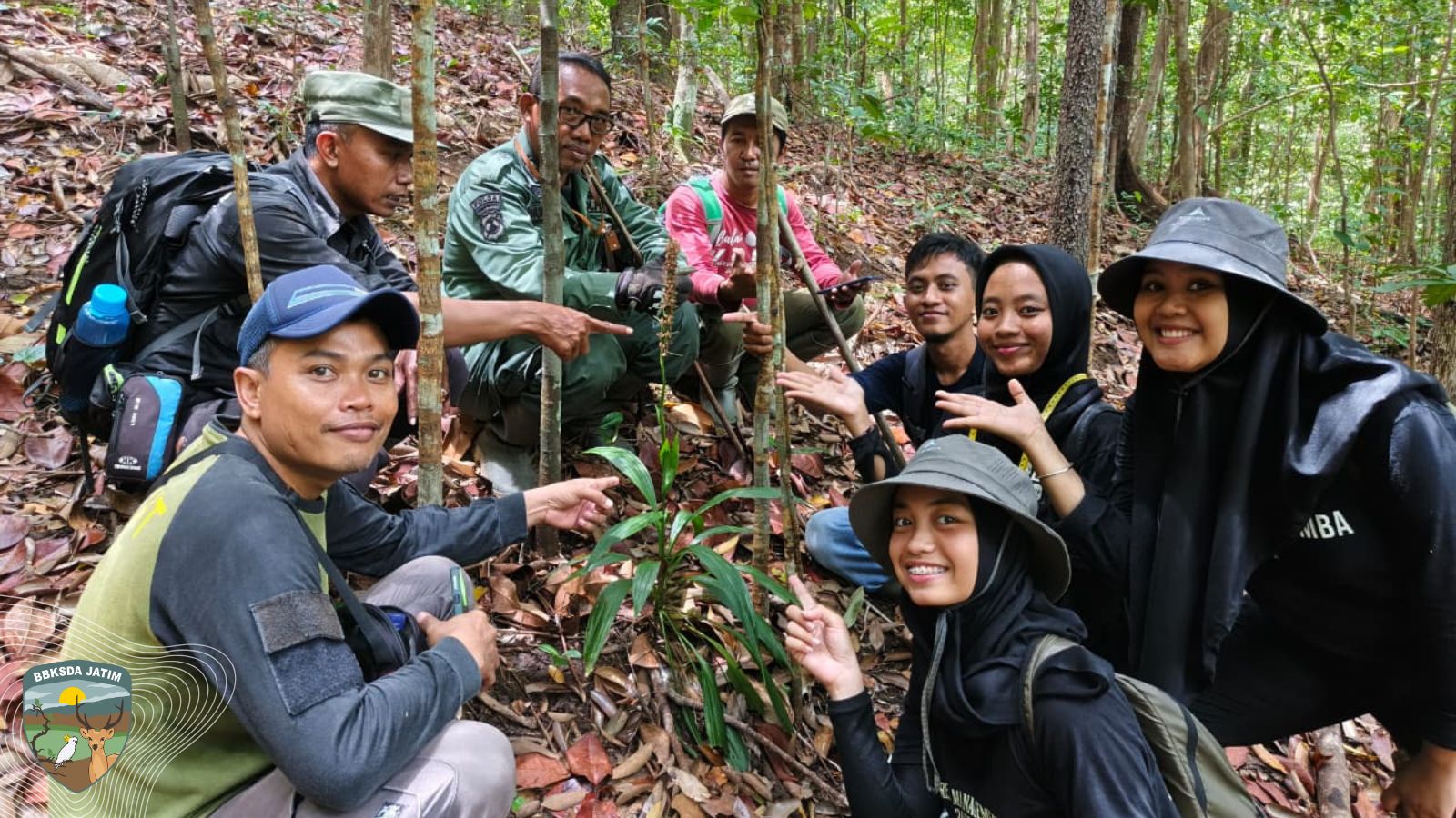13 Jejak Keindahan di Gunung Besar Pulau Bawean