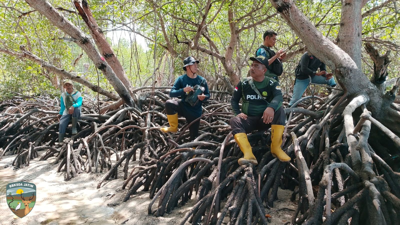 SMART Patrol Saobi Dan Harapan Yang Tumbuh Di Masakambing