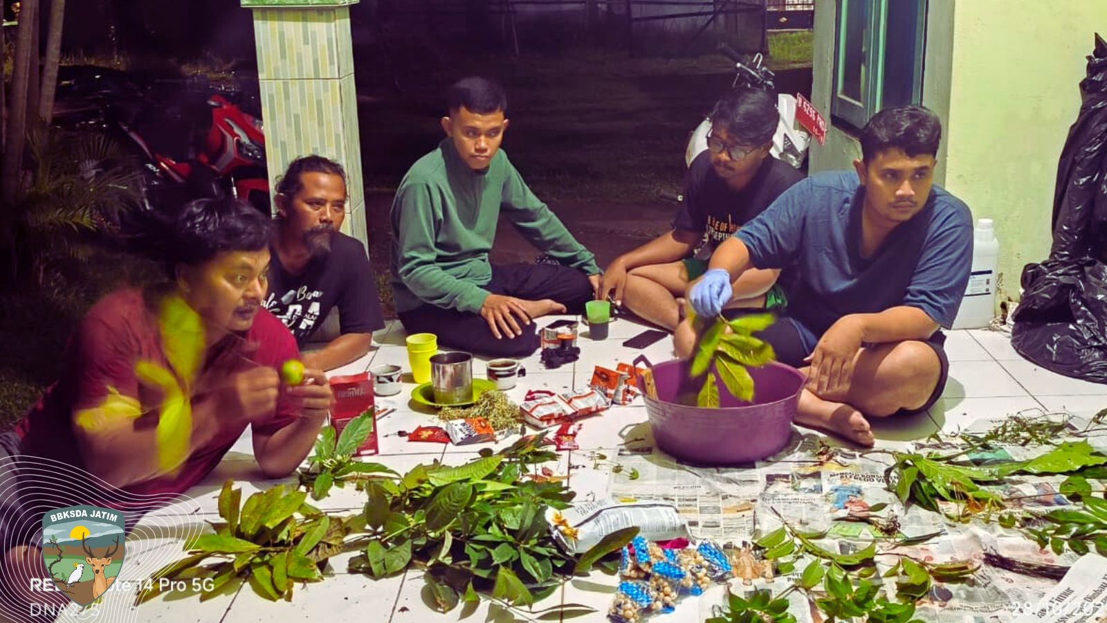 Merekam Jejak Kehidupan, Herbarium sebagai Arsip Abadi di Lembab Hutan Bawean