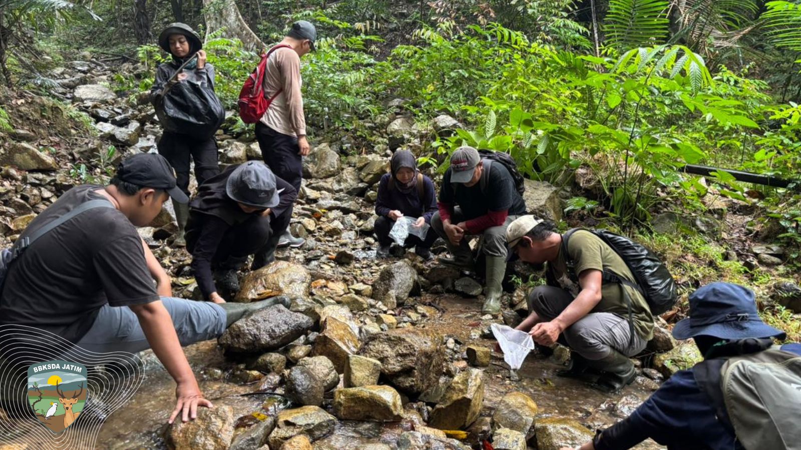 Dari Dasar Danau Purba hingga Sungai di Ujung Pulau, Jejak Krustasea Endemik Bawean Terungkap