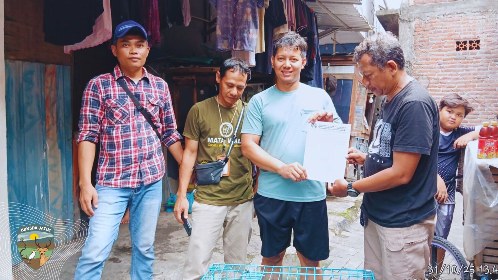 Tak Disangka! Elang Bondol Tersesat di Tengah Kota, Lihat Apa yang Dilakukan Warga Ini!