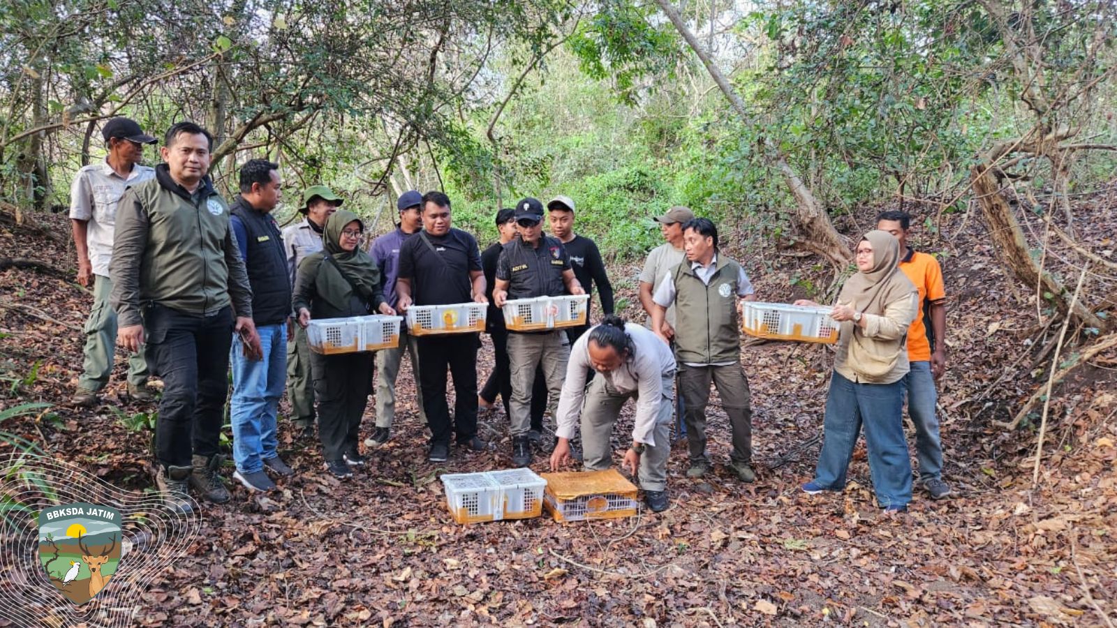 Ratusan Burung Liar Nyaris Diselundupkan, Lihat Bagaimana Mereka Akhirnya Terbang Bebas di Baluran!