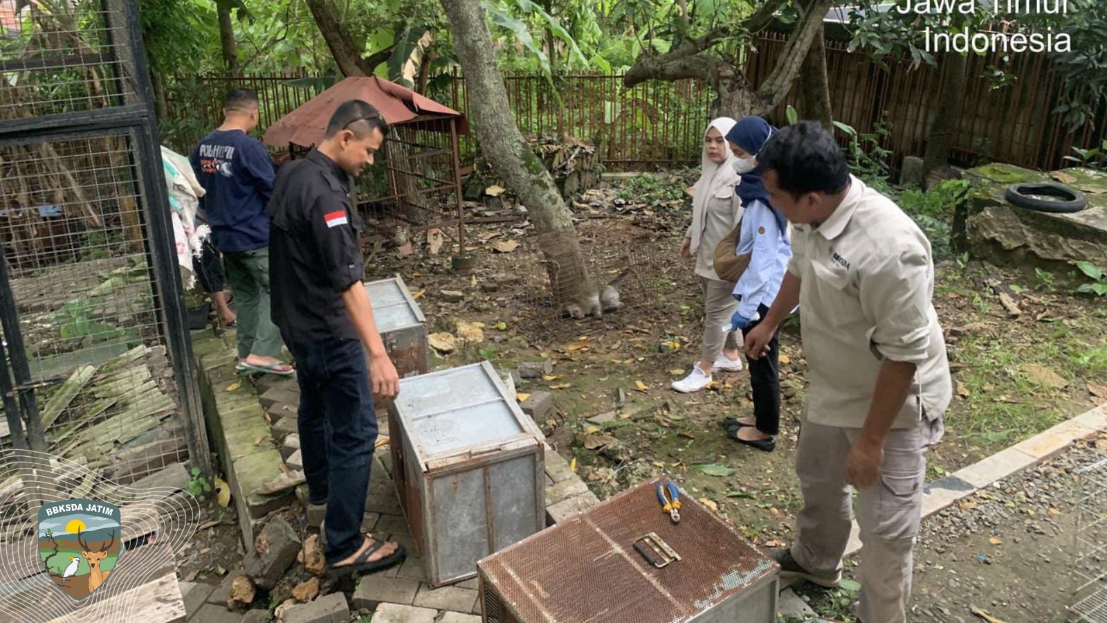 WRU BBKSDA Jatim Evakuasi Satwa Hasil Penyelamatan di Tuban dan Bojonegoro