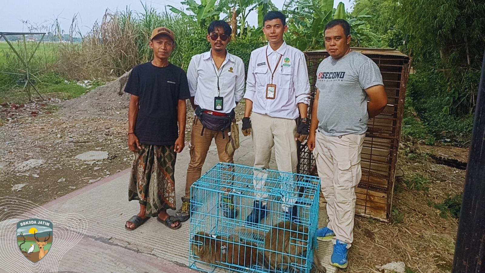 15 Tahun Dipelihara, Dua Monyet Liar Akhirnya Diserahkan Warga Mojokerto