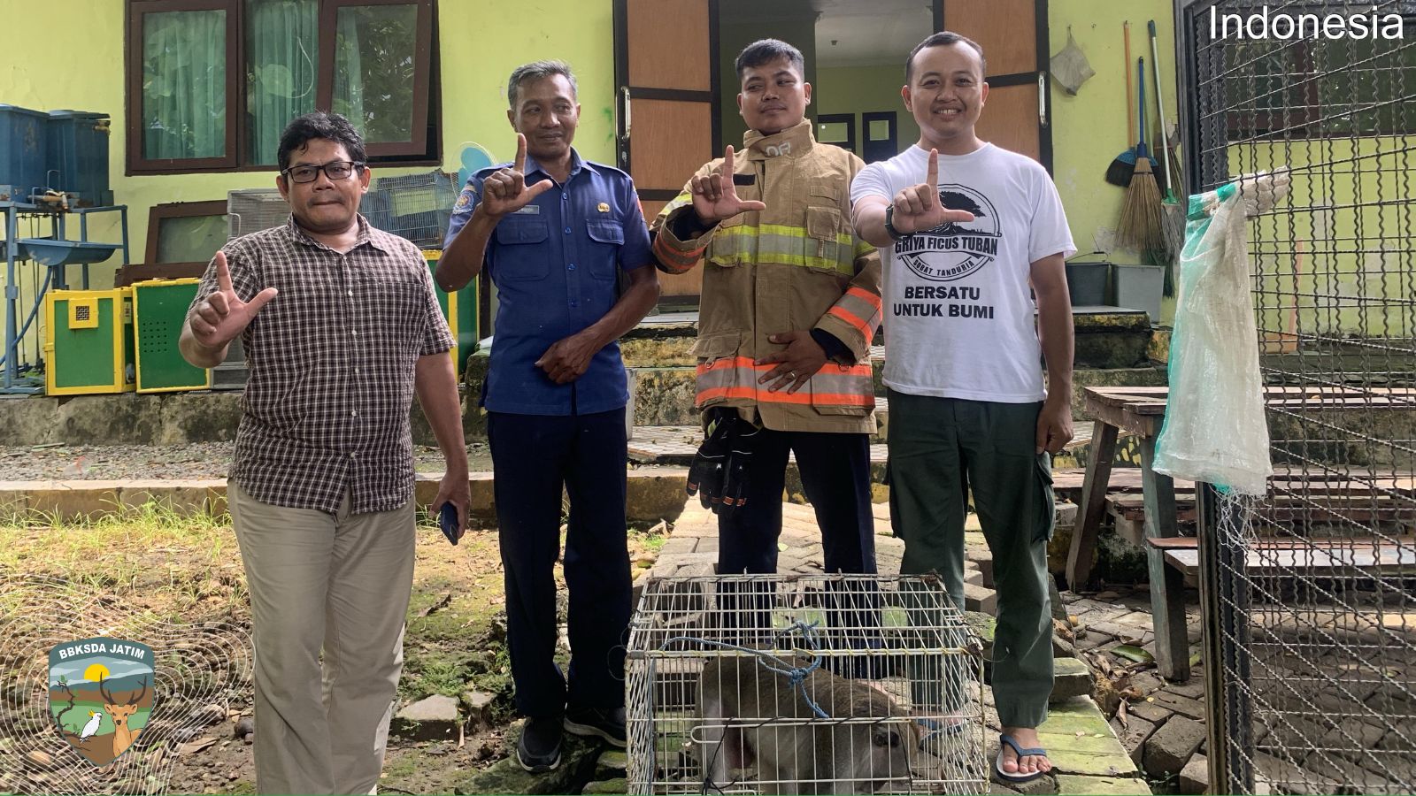 Penyelamatan Monyet Ekor Panjang di Desa Jampet