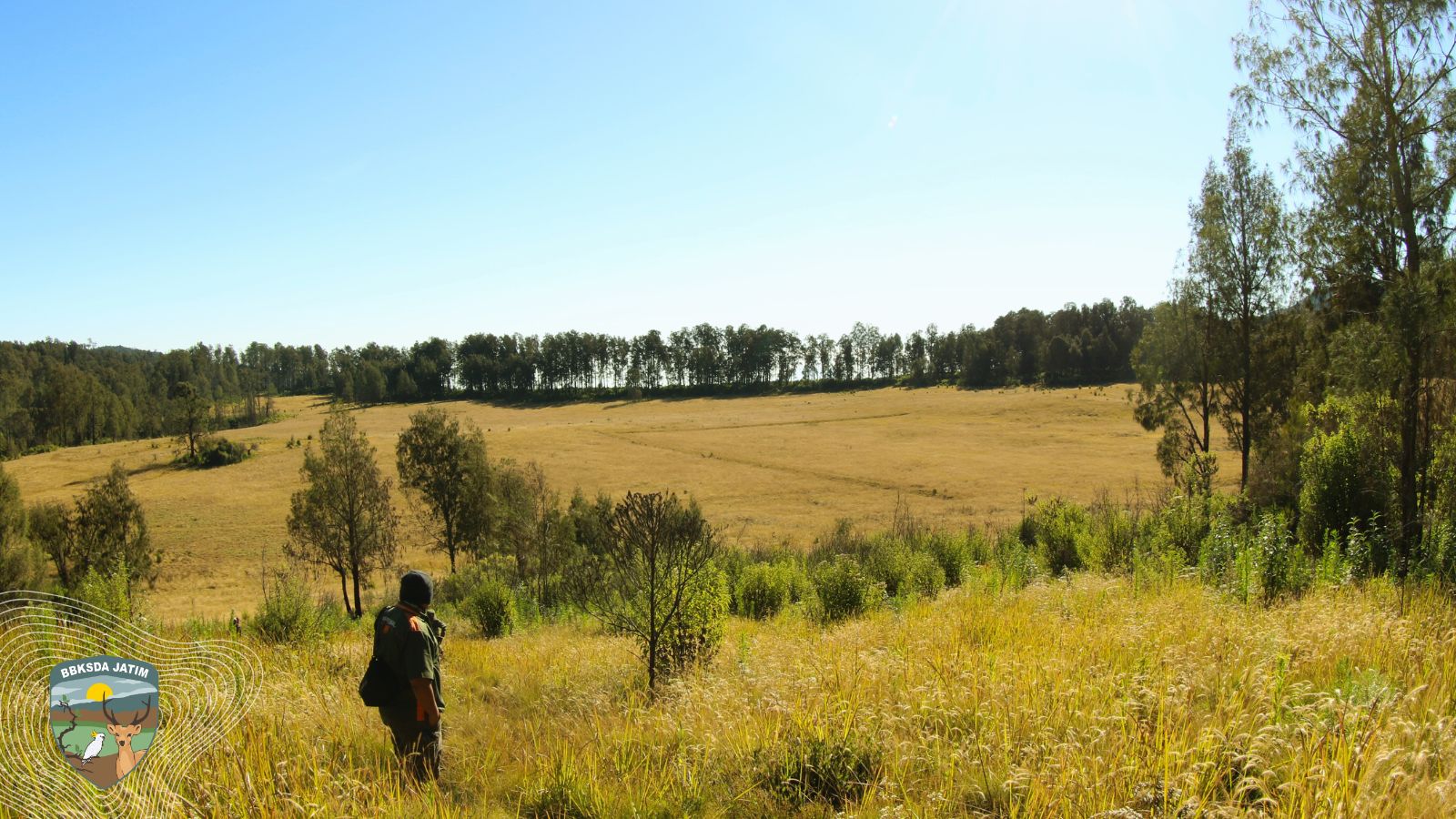 Alam Mengirim Peringatan, Mengapa Dataran Tinggi Yang Harus Ditutup Sementara?