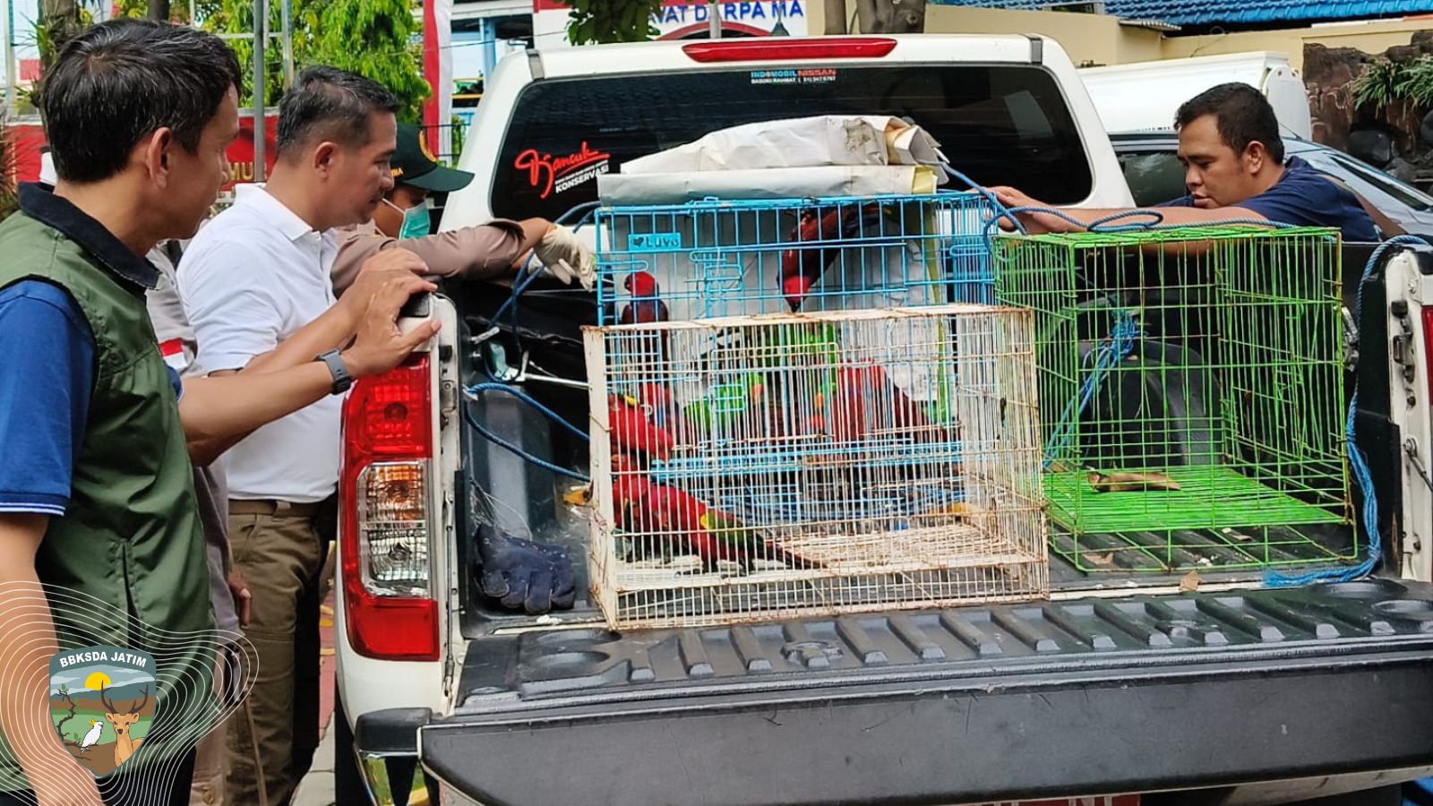 Sempat di Lempar Ke Laut, 15 Ekor Paruh Bengkok Berhasil Diselamatkan Ditpolairud Polda Jatim
