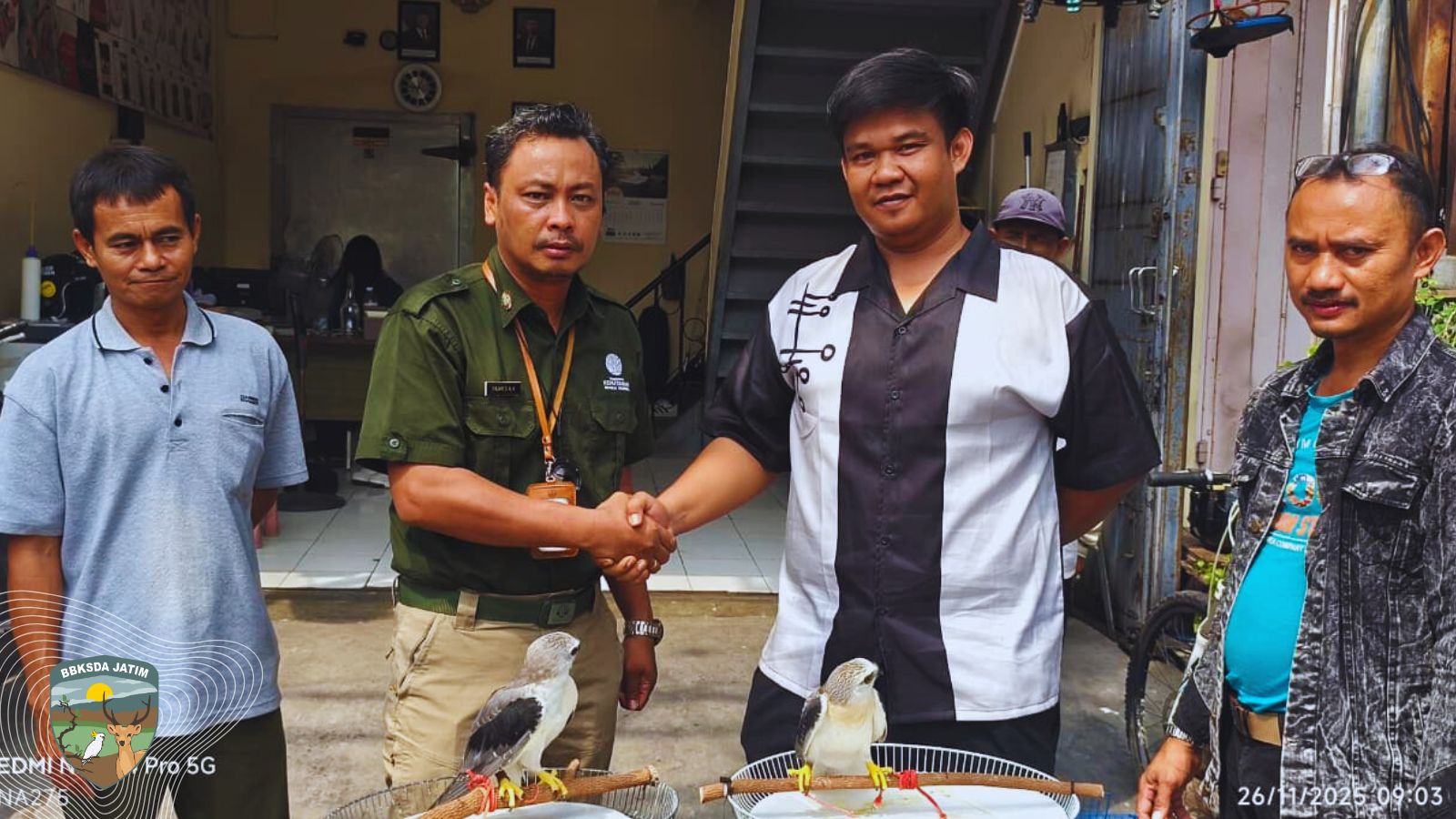 Di Balik Kesibukan Kota Surabaya, Dua Elang Muda Menanti Nasib