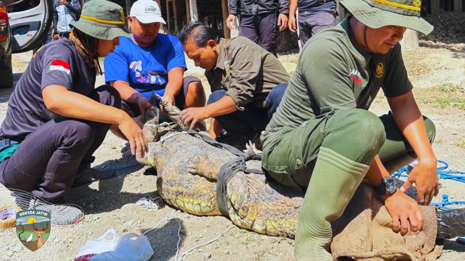 Di Garda Terakhir, Kisah Para Penjaga Satwa Liar Jawa Timur