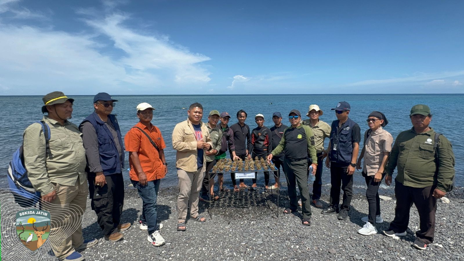 Bersama Mitra, BBKSDA Jatim Restocking Koral Transplantasi di Taman Nasional Baluran