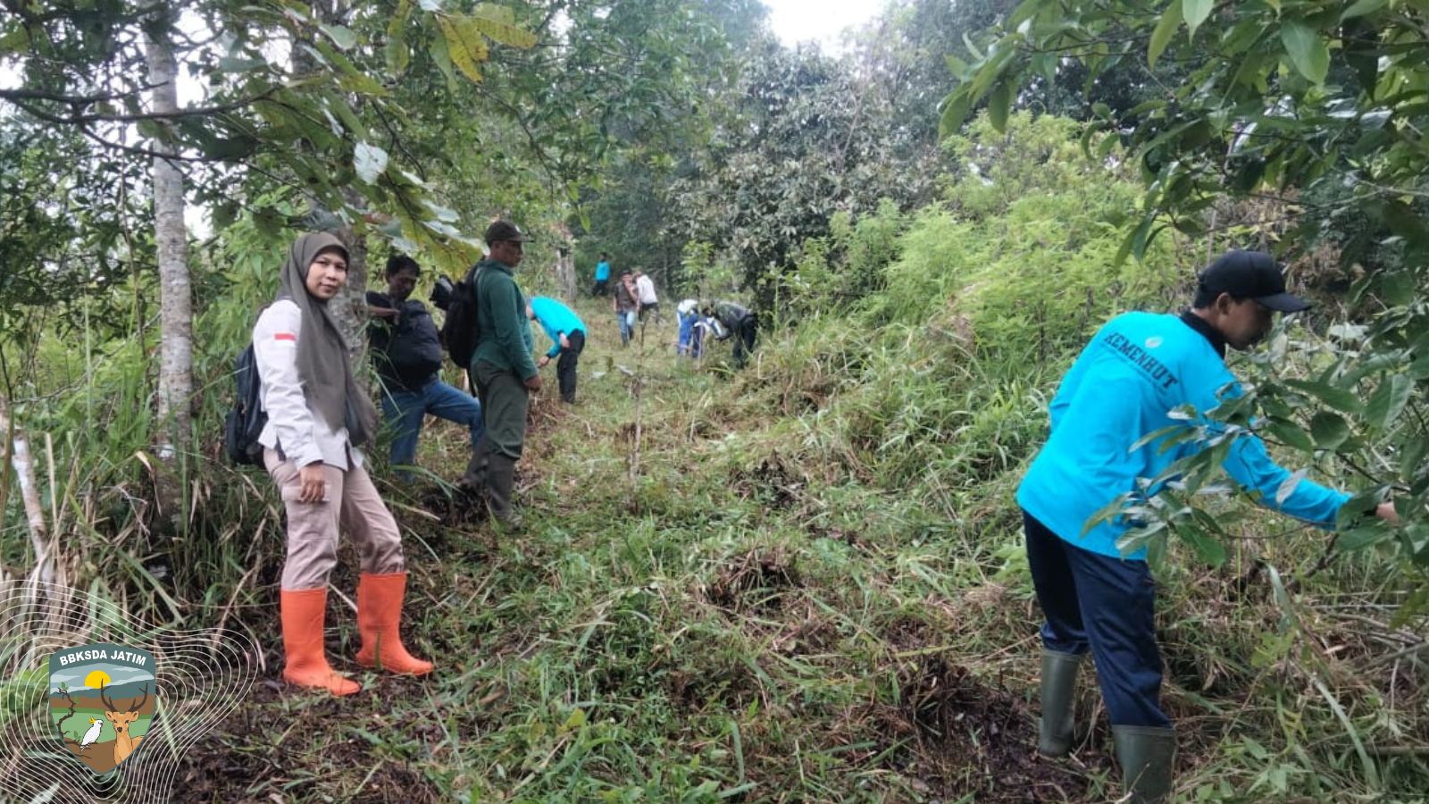 Upaya Penjaga Hutan Melindungi Picis dari Kebakaran