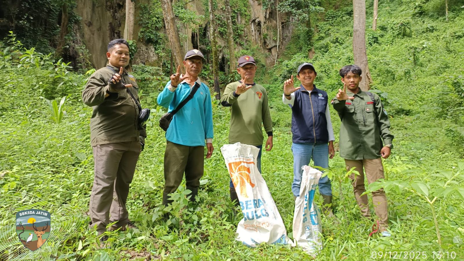 Dua Sanca Hidupkan Kembali Denyut Ekosistem di Rimba Pagerukir