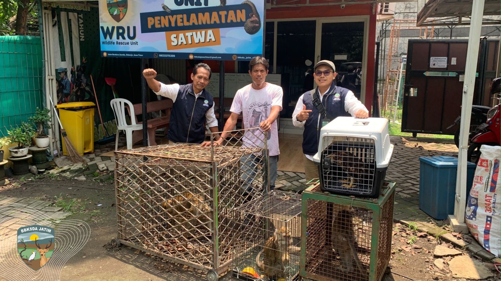 BBKSDA Jawa Timur Evakuasi Empat Satwa Liar untuk Rehabilitasi di WRU