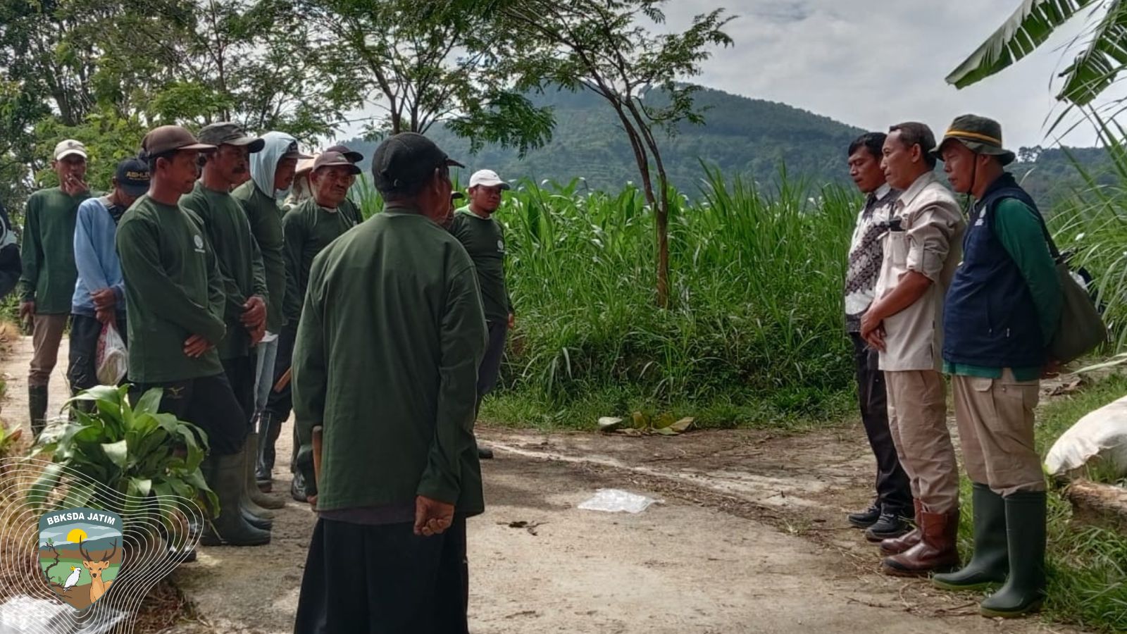 Jalan Damai Manusia dan Monyet Ekor Panjang di Lereng Blego