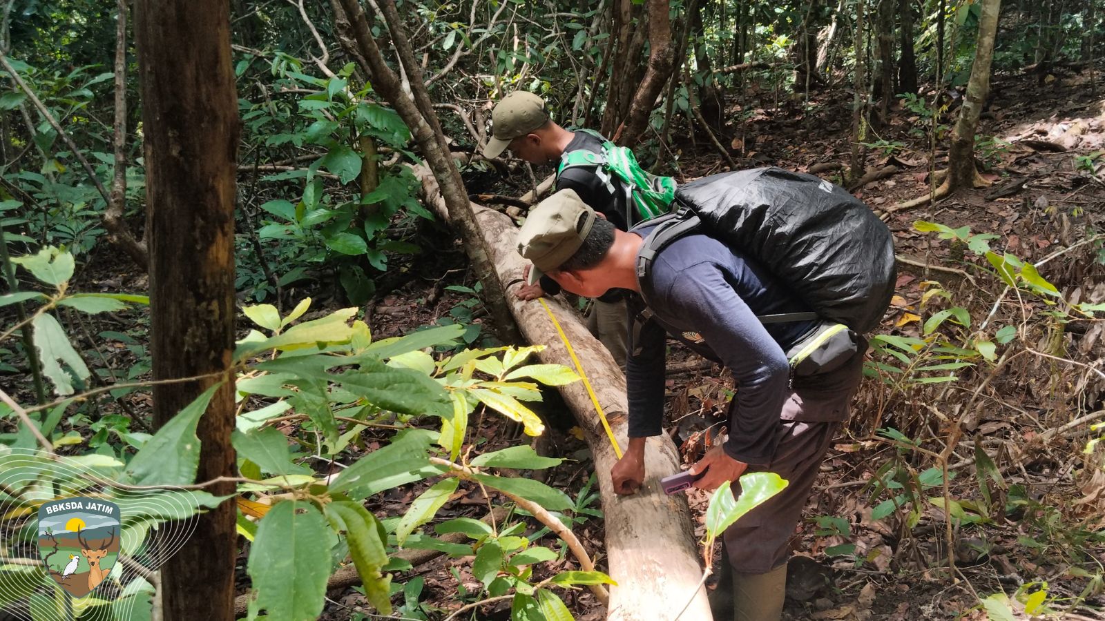 SMART Patrol Membaca Ketahanan Ekosistem Kecil Bawean