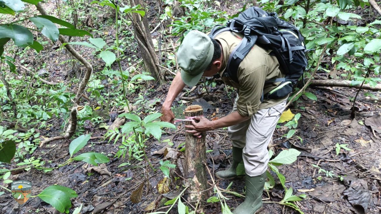 Menjaga Hulu Kehidupan, Melindungi Mata Air Suaka Margasatwa Pulau Bawean