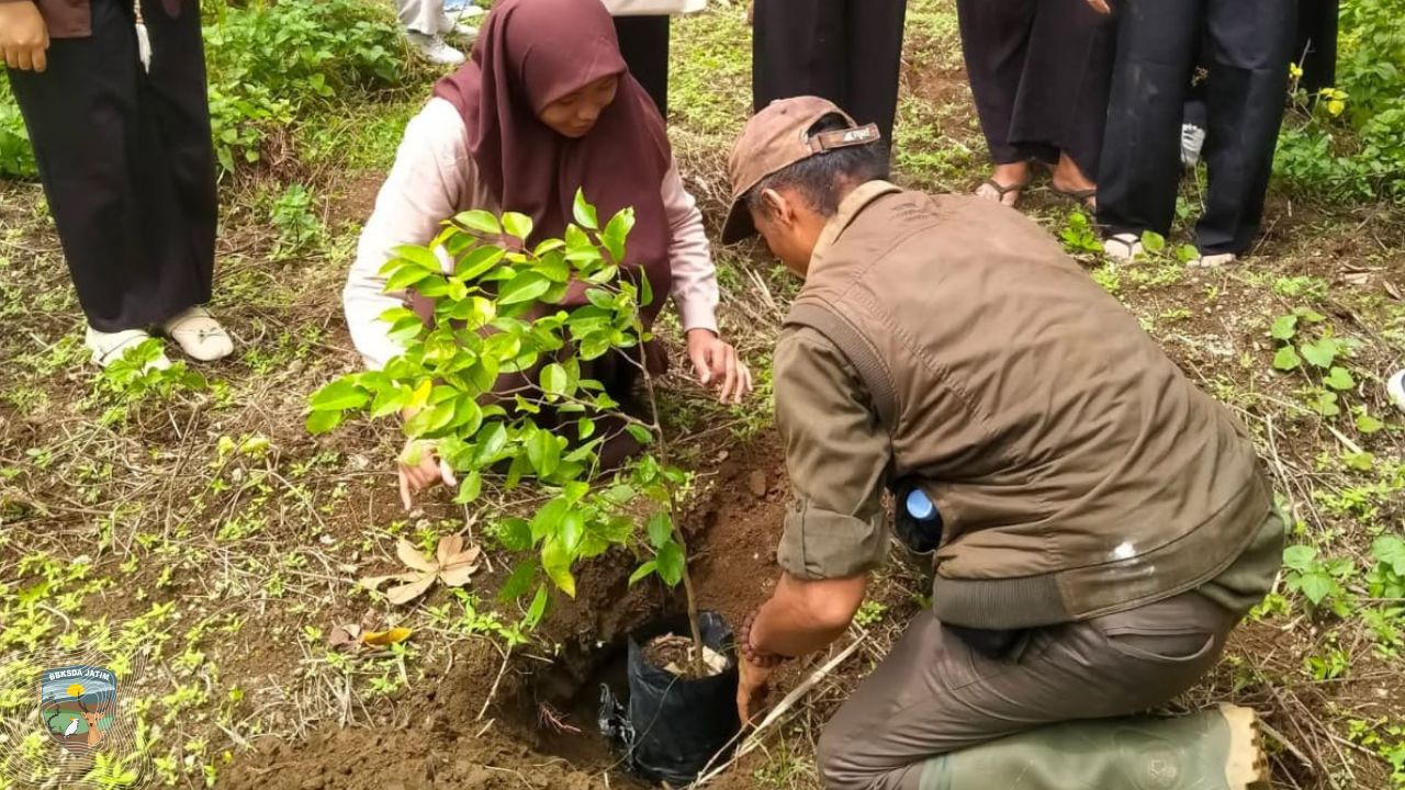 Menyemai Perilaku Konservasi di Pusat Ficus Nasional Kediri