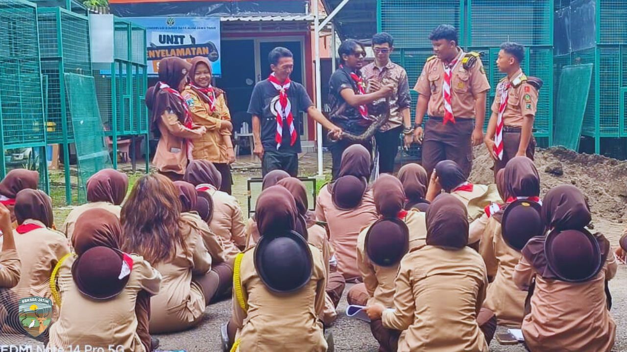 Saka Wanabakti Belajar Membaca Jejak Alam Bersama Tim Matawali BBKSDA Jawa Timur