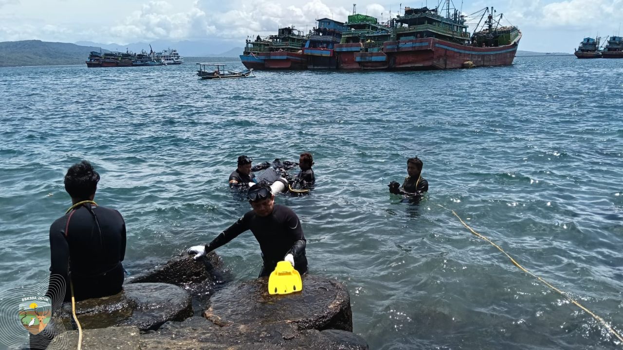 Tak Banyak Yang Tahu, Begini Cara Petugas Menjaga Karang Hias Agar Laut Tetap Hidup